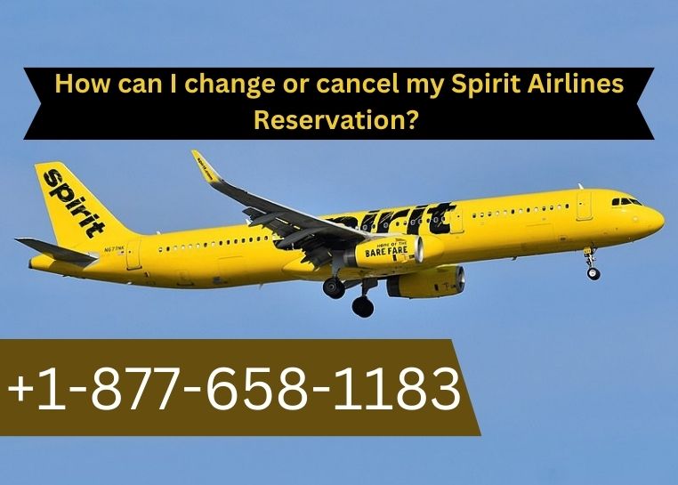 Cancel Spirit Airlines